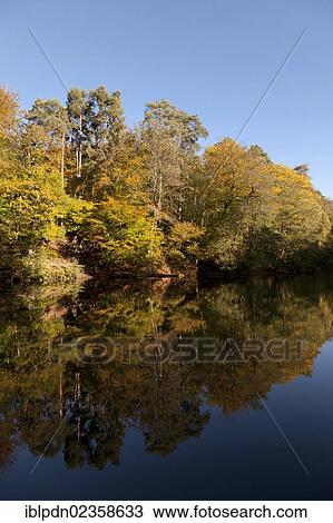 "Autumn trees reflected in still lake, Hindhead, Hampshire, England, United Kingdom, Europe" View Large Photo Image Stock Image - "Autumn trees reflected in still lake, Hindhead, Hampshire, England, United Kingdom, Europe". Fotosearch