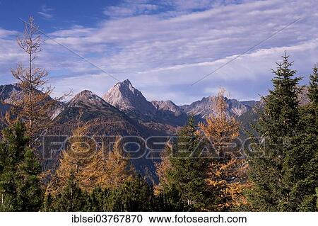 "Autumn woods, Lermooser mountains, Ehrwald, Tyrol, Austria, Europe" View Large Photo Image Stock Image - "Autumn woods, Lermooser mountains, Ehrwald, Tyrol, Austria, Europe". Fotosearch