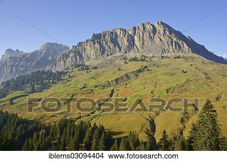 "Autumnal alpine meadows at Pragelpass, Glarus, Canton of Glarus, Switzerland, Europe" View Large Photo Image Picture - "Autumnal alpine meadows at Pragelpass, Glarus, Canton of Glarus, Switzerland, Europe". Fotosearch
