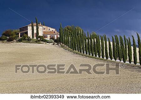 "Autumnal fields near Pienza, Tuscany, Italy, Europe" View Large Photo Image Stock Photo - "Autumnal fields near Pienza, Tuscany, Italy, Europe". Fotosearch