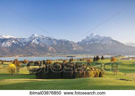 "Autumnal foothills of the Alps, Forggensee, behind the Alps, Ostallgau, Allgau, Upper Bavaria, Bavaria, Germany, Europe" View Large Photo Image Stock Image - "Autumnal foothills of the Alps, Forggensee, behind the Alps, Ostallgau, Allgau, Upper Bavaria, Bavaria, Germany, Europe". Fotosearch
