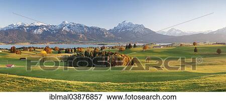 "Autumnal foothills of the Alps, Forggensee, behind the Alps, Ostallgau, Allgau, Upper Bavaria, Bavaria, Germany, Europe" View Large Photo Image Stock Photo - "Autumnal foothills of the Alps, Forggensee, behind the Alps, Ostallgau, Allgau, Upper Bavaria, Bavaria, Germany, Europe". Fotosearch