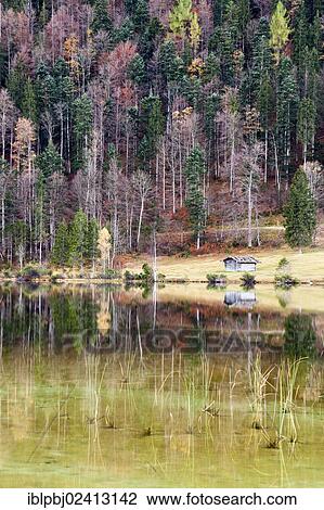 Autumnal forest and hut with a reflection in Lake Ferchensee, Bavaria, Germany, Europe View Large Photo Image Stock Image - Autumnal forest and hut with a reflection in Lake Ferchensee, Bavaria, Germany, Europe. Fotosearch