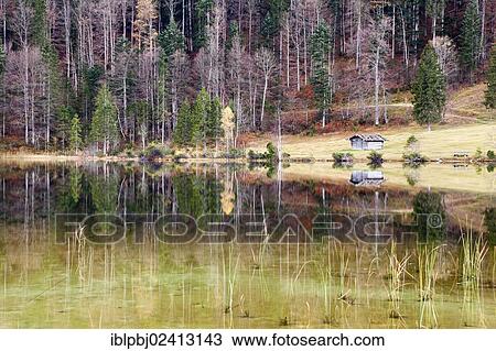 Autumnal forest and hut with a reflection in Lake Ferchensee, Bavaria, Germany, Europe View Large Photo Image Stock Image - Autumnal forest and hut with a reflection in Lake Ferchensee, Bavaria, Germany, Europe. Fotosearch