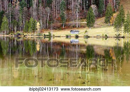 Autumnal forest and hut with a reflection in Lake Ferchensee, Bavaria, Germany, Europe View Large Photo Image Stock Image - Autumnal forest and hut with a reflection in Lake Ferchensee, Bavaria, Germany, Europe. Fotosearch