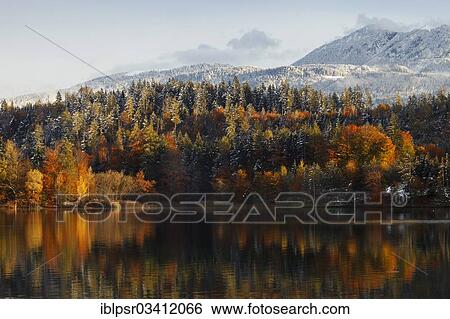 "Autumnal forest in front of snow-covered mountains, Kramsach, Kufstein District, North Tirol, Tirol, Austria, Europe" View Large Photo Image Stock Photograph - "Autumnal forest in front of snow-covered mountains, Kramsach, Kufstein District, North Tirol, Tirol, Austria, Europe". Fotosearch