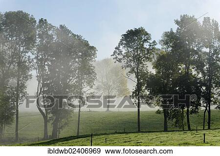 "Autumnal morning mist, Hub, Bad Heilbrunn Loisachtal, Toelzer Land, Upper Bavaria, Bavaria, Germany, Europe" View Large Photo Image Stock Photo - "Autumnal morning mist, Hub, Bad Heilbrunn Loisachtal, Toelzer Land, Upper Bavaria, Bavaria, Germany, Europe". Fotosearch
