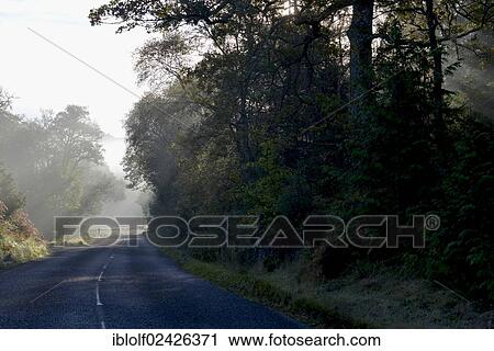 "Autumnal road in the Highlands, Gairloch, Wester Ross, Scotland, United Kingdom, Europe" View Large Photo Image Stock Image - "Autumnal road in the Highlands, Gairloch, Wester Ross, Scotland, United Kingdom, Europe". Fotosearch