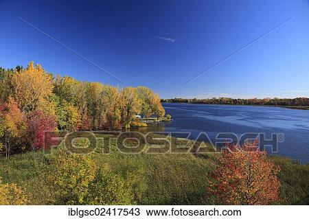 Autumnal trees along Richelieu River, Quebec, Canada, North America View Large Photo Image Stock Image - Autumnal trees along Richelieu River, Quebec, Canada, North America. Fotosearch