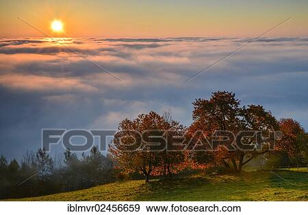 "Autumnal trees with fog at sunrise, Eastern Styrian hill country, Austria, Europe" View Large Photo Image Stock Photo - "Autumnal trees with fog at sunrise, Eastern Styrian hill country, Austria, Europe". Fotosearch