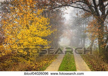 "Autumnal view of Marschbahndamm road, Kirchwerder, Vierlande and Marschlande districts, Hamburg, Germany, Europe" View Large Photo Image Stock Photograph - "Autumnal view of Marschbahndamm road, Kirchwerder, Vierlande and Marschlande districts, Hamburg, Germany, Europe". Fotosearch