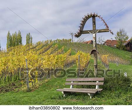 Stock Image - "Autumnal vineyard and a wayside cross with a bench, Ratsch an der Weinstrasse, Styria, Austria, Europe". Fotosearch