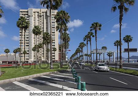 "Avenida de las Canarias, Las Palmas, Gran Canaria, Canary Islands, Spain, Europe, PublicGround, Europe" View Large Photo Image Stock Image - "Avenida de las Canarias, Las Palmas, Gran Canaria, Canary Islands, Spain, Europe, PublicGround, Europe". Fotosearch