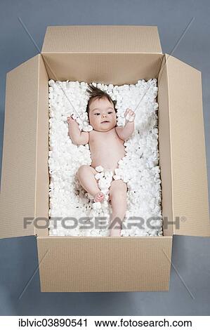 "Baby, 5 months, in a box, Germany, Europe" View Large Photo Image Stock Image - "Baby, 5 months, in a box, Germany, Europe". Fotosearch