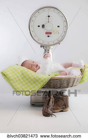 Baby lying in a basket on a scale View Large Photo Image Stock Image - Baby lying in a basket on a scale. Fotosearch