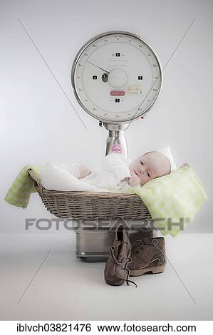 Baby lying in a basket on a scale View Large Photo Image Stock Photograph - Baby lying in a basket on a scale. Fotosearch