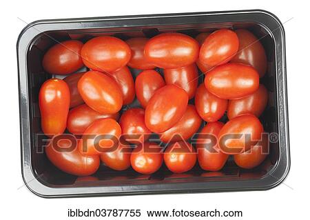 Baby plum tomatoes in a punnet View Large Photo Image Stock Photography - Baby plum tomatoes in a punnet. Fotosearch