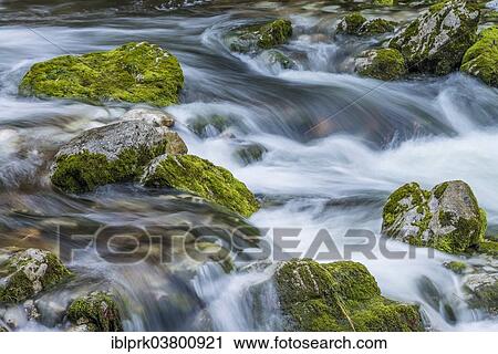 "Bach, Hartl ditch, Gesaeuse National Park, Styria, Austria, Europe" View Large Photo Image Stock Image - "Bach, Hartl ditch, Gesaeuse National Park, Styria, Austria, Europe". Fotosearch