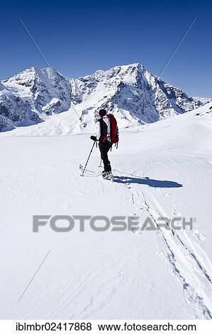 Backcountry skier climbing Schoentaufspitze mountain, Sulden, Ortler mountain and Zebru mountain at the back, province of Bolzano-Bozen, Italy, Europe View Large Photo Image Stock Photo - Backcountry skier climbing Schoentaufspitze mountain, Sulden, Ortler mountain and Zebru mountain at the back, province of Bolzano-Bozen, Italy, Europe. Fotosearch