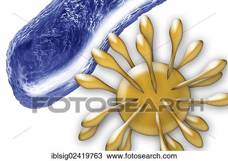Bacteria and a virus, illustration View Large Photo Image Stock Image - Bacteria and a virus, illustration. Fotosearch