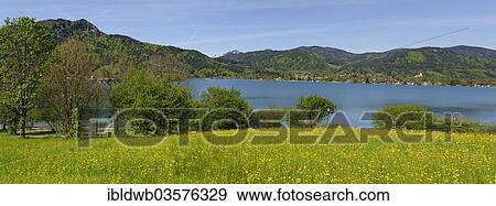 "Bad Wiessee with Tegernsee Lake, from the Point Peninsula, Bad Wiessee, Upper Bavaria, Bavaria, Germany, Europe" View Large Photo Image Stock Photo - "Bad Wiessee with Tegernsee Lake, from the Point Peninsula, Bad Wiessee, Upper Bavaria, Bavaria, Germany, Europe". Fotosearch