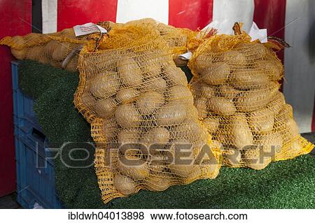 "Bags of potato (Solanum tuberosum), market, Dortmund, North Rhine-Westphalia, Germany, Europe" View Large Photo Image Stock Photo - "Bags of potato (Solanum tuberosum), market, Dortmund, North Rhine-Westphalia, Germany, Europe". Fotosearch