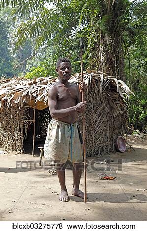"Baka man, pygmy, with a hunting spear in the jungle, near Kribi, South Region, Cameroon, Africa" View Large Photo Image Stock Photo - "Baka man, pygmy, with a hunting spear in the jungle, near Kribi, South Region, Cameroon, Africa". Fotosearch
