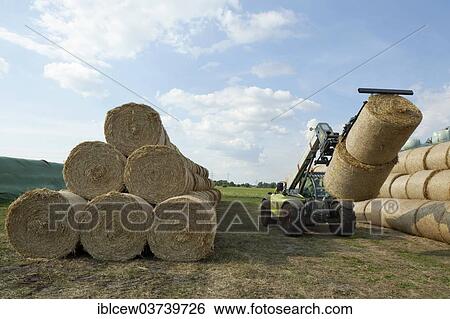 "Bales of straw being transported, Schleswig-Holstein, Germany, Europe" View Large Photo Image Stock Photograph - "Bales of straw being transported, Schleswig-Holstein, Germany, Europe". Fotosearch