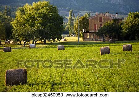 "Bales of straw in a field near Sault, Vaucluse, France, Europe" View Large Photo Image Stock Image - "Bales of straw in a field near Sault, Vaucluse, France, Europe". Fotosearch