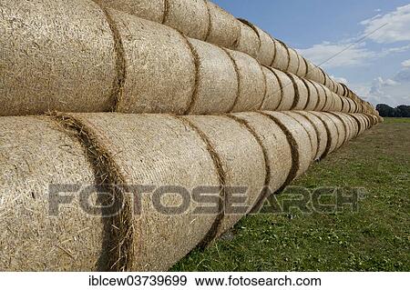 "Bales of straw, Schleswig-Holstein, Germany, Europe" View Large Photo Image Stock Photo - "Bales of straw, Schleswig-Holstein, Germany, Europe". Fotosearch