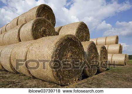 "Bales of straw, Schleswig-Holstein, Germany, Europe" View Large Photo Image Stock Photo - "Bales of straw, Schleswig-Holstein, Germany, Europe". Fotosearch