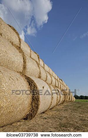 Stock Photo - "Bales of straw, Schleswig-Holstein, Germany, Europe". Fotosearch