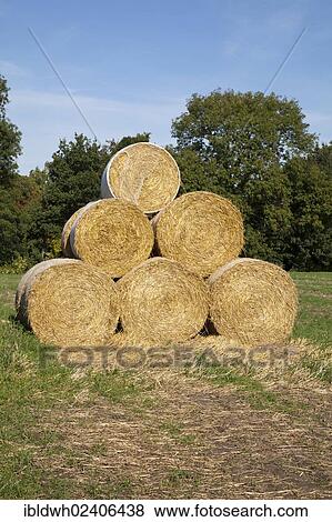 "Bales of straw stacked on a field, Kamen, Ruhr area, North Rhine-Westphalia, Germany, Europe, PublicGround, Europe" View Large Photo Image Stock Photo - "Bales of straw stacked on a field, Kamen, Ruhr area, North Rhine-Westphalia, Germany, Europe, PublicGround, Europe". Fotosearch