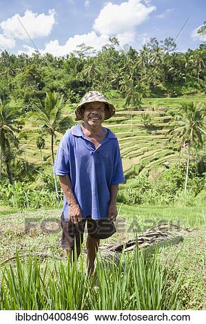 Stock Photograph - "Balinese rice farmer, rice terraces, near Tegallalang, Bali, Indonesia, Asia". Fotosearch