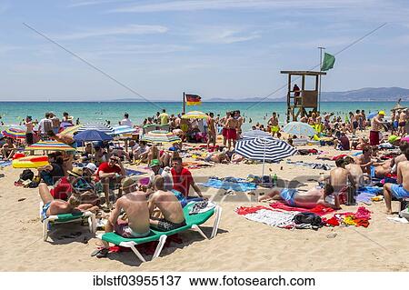 Ballermann Party Area At The Playa De Palma Bay Of Palma Majorca Balearic Islands Spain Europe Stock Photo Iblstf Fotosearch