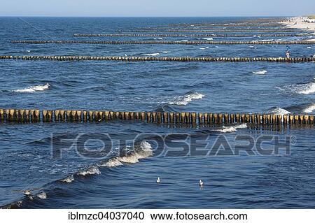 Stock Image - "Baltic Sea beach with groynes, Ahrenshoop, Darss, Mecklenburg-Western Pomerania, Germany, Europe". Fotosearch
