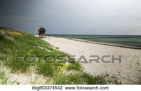 Stock Image - "Baltic Sea beach, Wustrow, Mecklenburg-Western Pomerania, Germany, Europe". Fotosearch