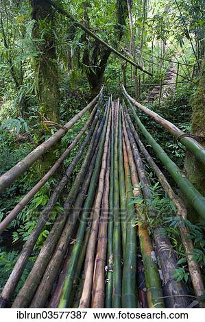 "Bamboo bridge leading to the Millennium Cave, Espiritu Santo, Sanma Province, Vanuatu, Oceania" View Large Photo Image Stock Photo - "Bamboo bridge leading to the Millennium Cave, Espiritu Santo, Sanma Province, Vanuatu, Oceania". Fotosearch