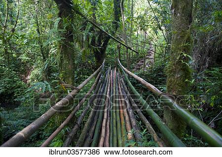 "Bamboo bridge leading to the Millennium Cave, Espiritu Santo, Sanma Province, Vanuatu, Oceania" View Large Photo Image Stock Photograph - "Bamboo bridge leading to the Millennium Cave, Espiritu Santo, Sanma Province, Vanuatu, Oceania". Fotosearch