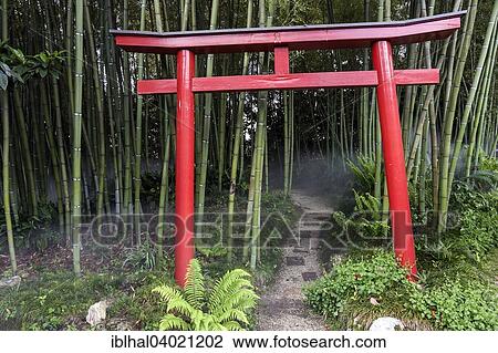 "Bamboo grove with Japanese Torii gate at the Botanical Gardens, Gardone Riviera, Lake Garda, Lombardy, Italy, Europe" View Large Photo Image Stock Image - "Bamboo grove with Japanese Torii gate at the Botanical Gardens, Gardone Riviera, Lake Garda, Lombardy, Italy, Europe". Fotosearch