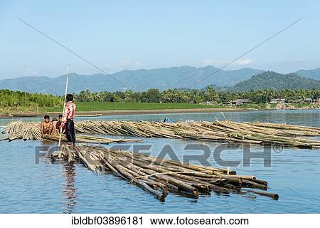 "Bamboo transport, Lemro River, Sittwe Division, Rakhine State, Myanmar, Asia" View Large Photo Image Stock Image - "Bamboo transport, Lemro River, Sittwe Division, Rakhine State, Myanmar, Asia". Fotosearch