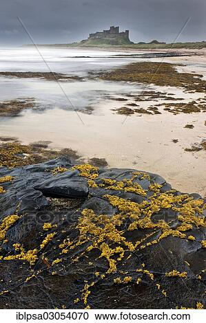 Stock Image - "Bamburgh Castle during a storm, Bamburgh, Northumberland, England, United Kingdom, Europe". Fotosearch
