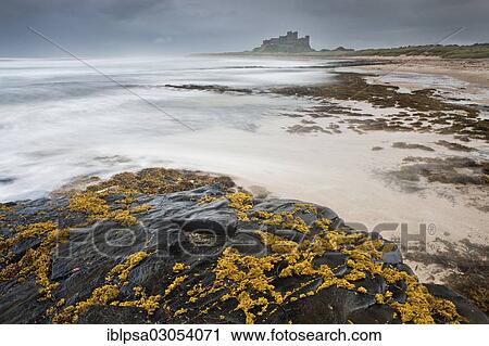 "Bamburgh Castle during a storm, Bamburgh, Northumberland, England, United Kingdom, Europe" View Large Photo Image Stock Image - "Bamburgh Castle during a storm, Bamburgh, Northumberland, England, United Kingdom, Europe". Fotosearch