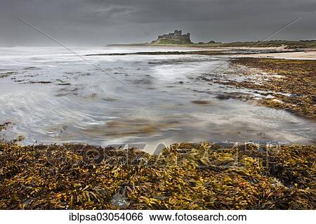 Stock Photograph - "Bamburgh Castle during a storm, Bamburgh, Northumberland, England, United Kingdom, Europe". Fotosearch