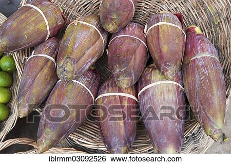 "Banana flowers for sale at a market, Siem Reap, Siem Reap, Siem Reap Province, Cambodia, Asia" View Large Photo Image Stock Photograph - "Banana flowers for sale at a market, Siem Reap, Siem Reap, Siem Reap Province, Cambodia, Asia". Fotosearch