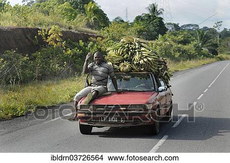 Picture - "Bananas being transported on a car, Kribi, South Region, Cameroon, Africa". Fotosearch