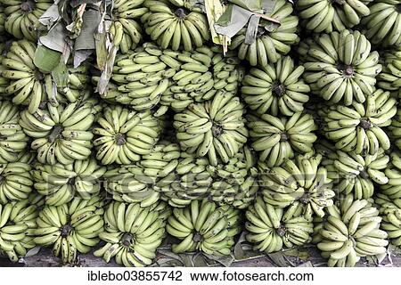 Stock Image - "Bananas for sale, Mysore, Karnataka, South India, India, Asia". Fotosearch