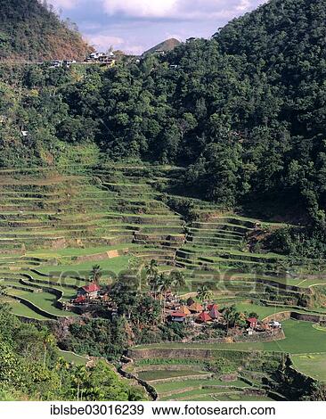 "Banga An village near Batad, Banaue Rice Terraces, also known as musuan peak, Banga An Village, Ifugao, Luzon, Philippines, Asia" View Large Photo Image Stock Photo - "Banga An village near Batad, Banaue Rice Terraces, also known as musuan peak, Banga An Village, Ifugao, Luzon, Philippines, Asia". Fotosearch