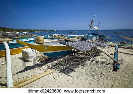 Banka, a traditional Filipino outrigger fishing boat with dried sardines on the beach, Malapascua, Philippines, Asia View Large Photo Image Stock Photo - Banka, a traditional Filipino outrigger fishing boat with dried sardines on the beach, Malapascua, Philippines, Asia. Fotosearch