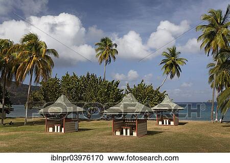 "Barbecue huts on the beach, coconut trees, Speyside, Tobago, Trinidad and Tobago, North America" View Large Photo Image Stock Image - "Barbecue huts on the beach, coconut trees, Speyside, Tobago, Trinidad and Tobago, North America". Fotosearch
